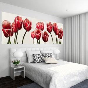 fototapeta-panoramiczna-tulipan